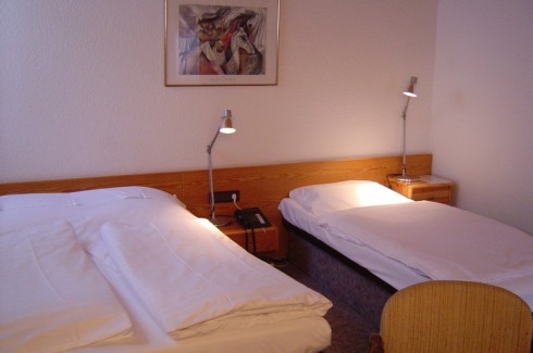 Restaurant im Hotel Raisch in Steinwenden, Foto 3