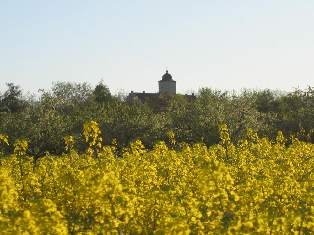 Schloss Hallburg in Volkach, Foto 1