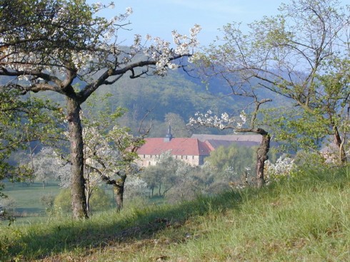 Cellarius das Restaurant im Kloster Michaelstein in Blankenburg, Foto 2