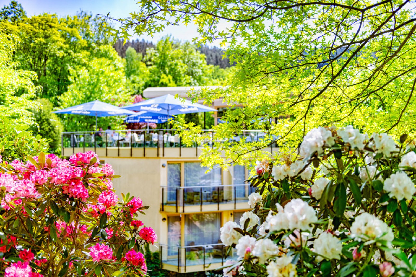 Hotel Restaurant 'Villa Marburg im Park' in Heigenbrücken, Foto 1