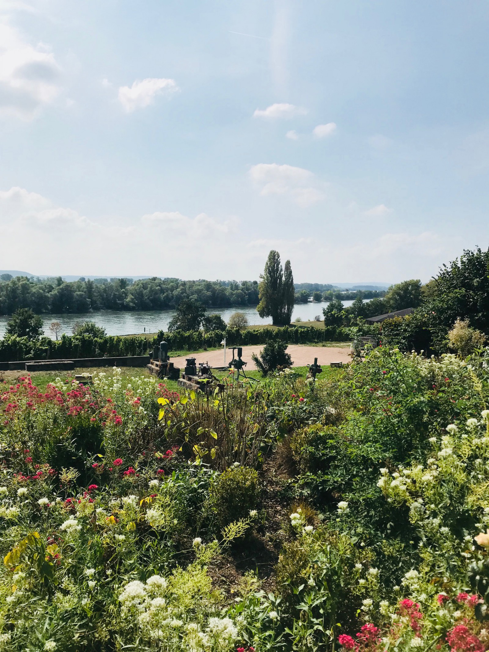 Domänenweingut Schloss Schönborn Vinothek & Weinbistro in Hattenheim, Foto 2