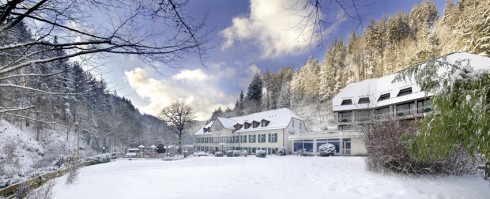 Waldhotel Bad Sulzburg in Sulzburg, Foto 1
