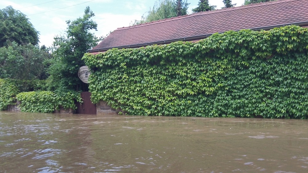 Zum Gerücht in Dresden, Foto 1