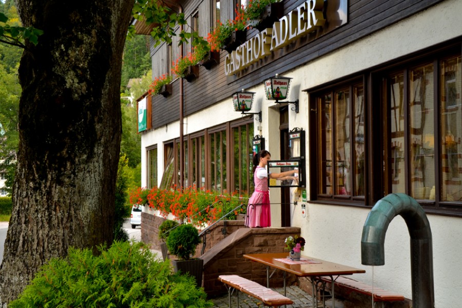 Adler in Tennenbronn, Foto 1