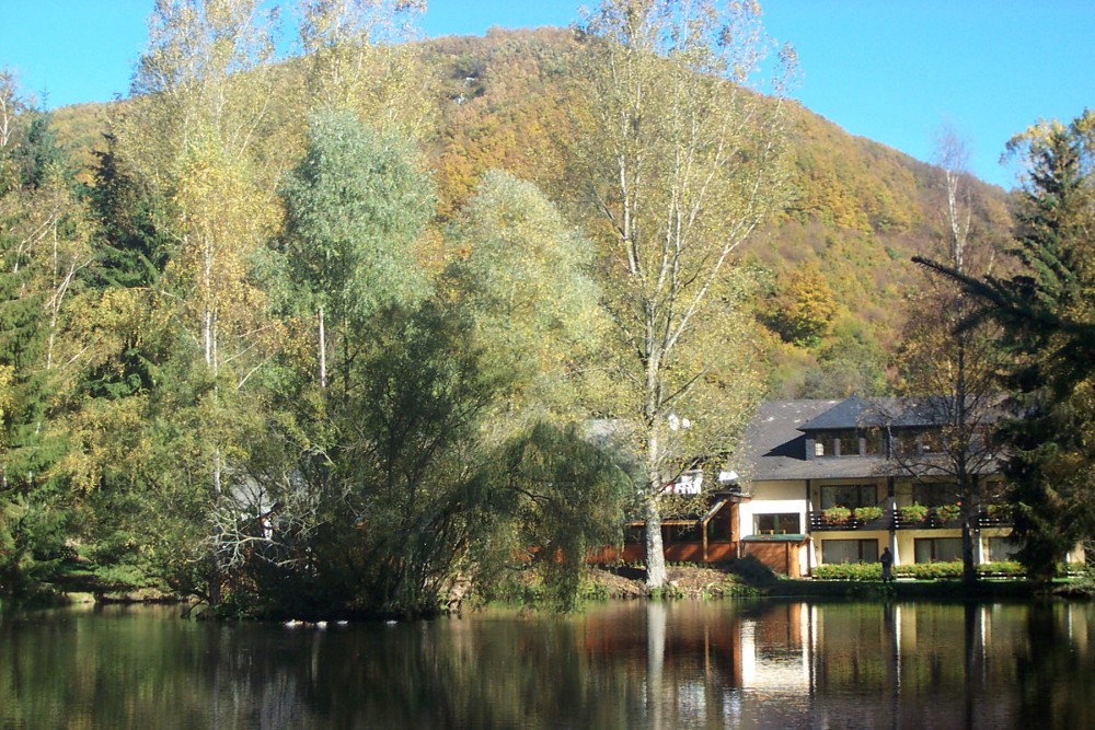Hotel Restaurant Forellenhof Reinhartsmühle in Bruschied, Foto 1