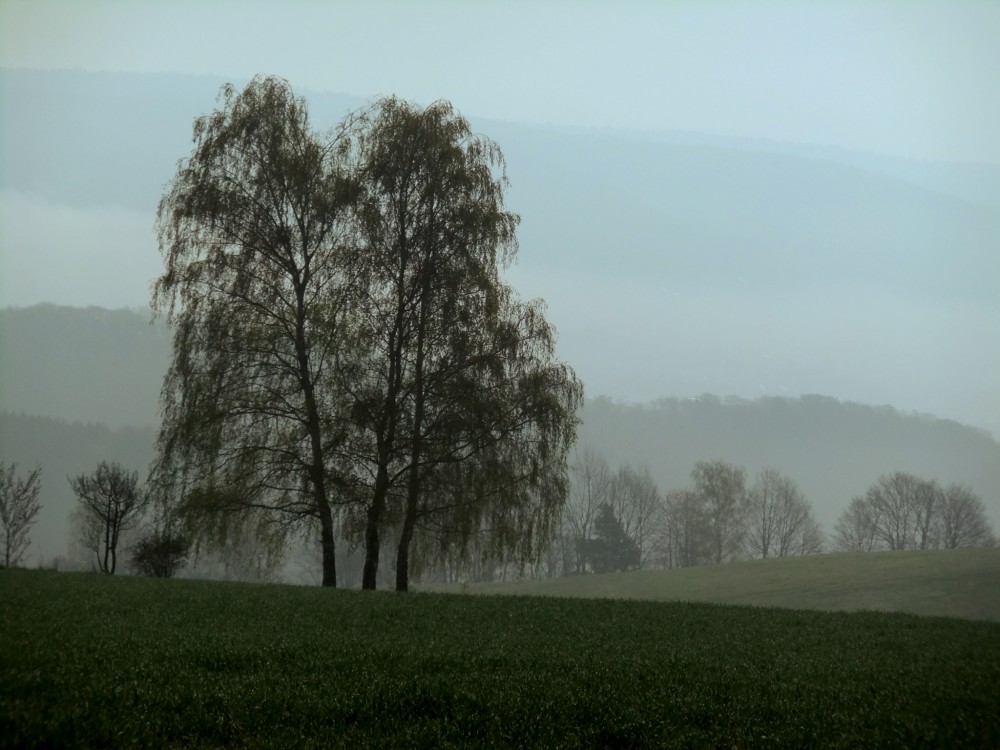 Landhotel Windlicht in Krombach, Foto 2