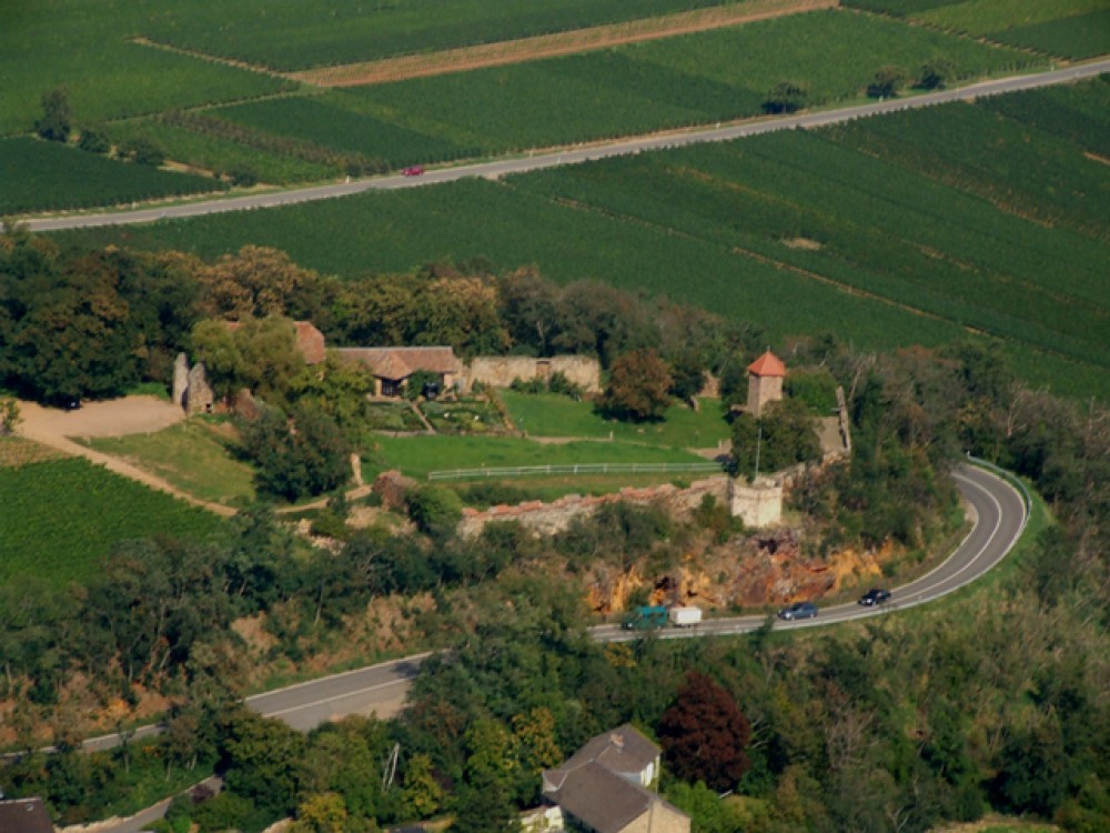 Hofgut Battenberg in Battenberg (Pfalz), Foto 2