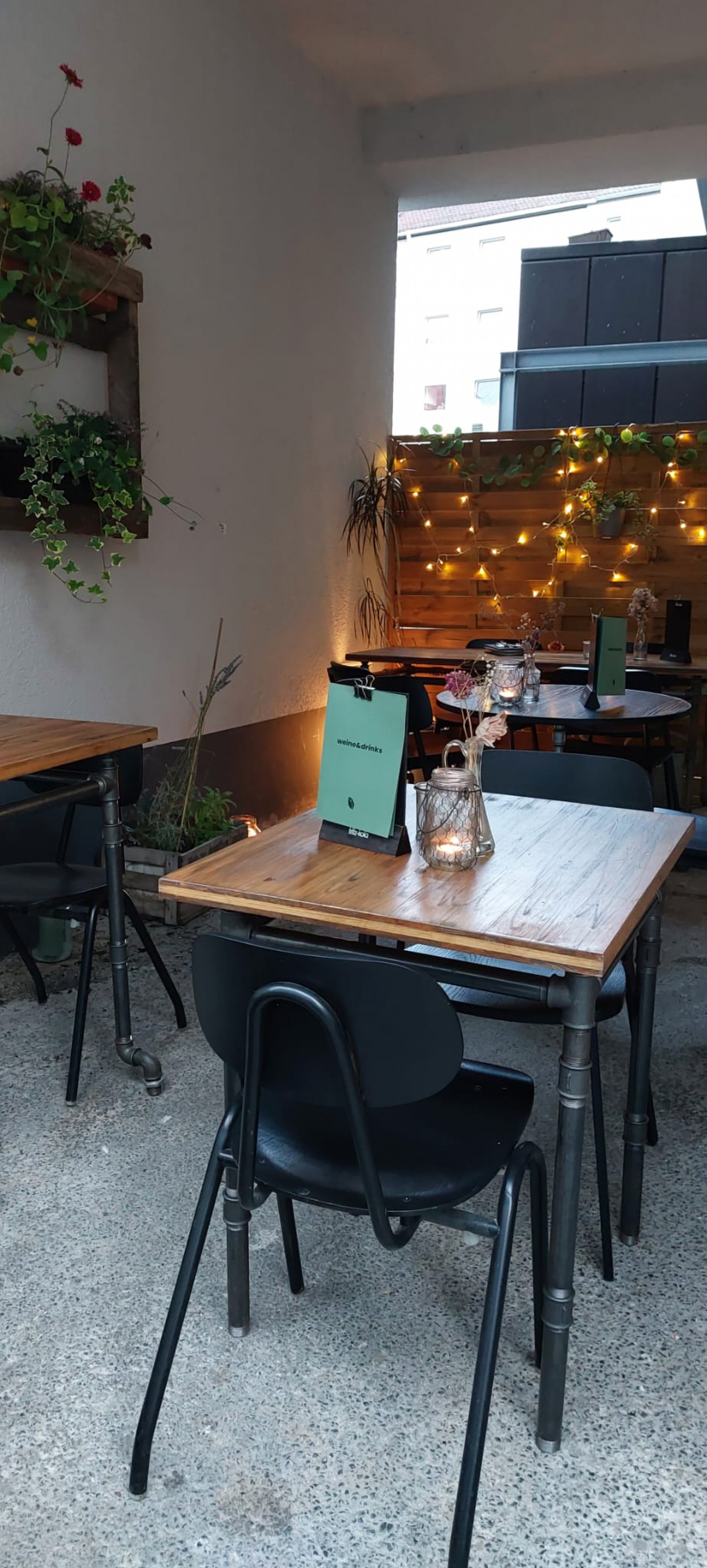 Salute - vegetarische & vegane Küche in Mainz, Foto 3