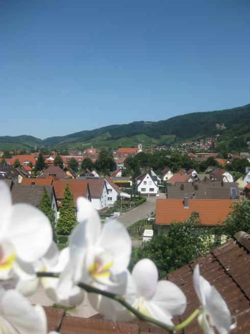 Hotel Gasthof Renchtalblick  in Oberkirch, Foto 2