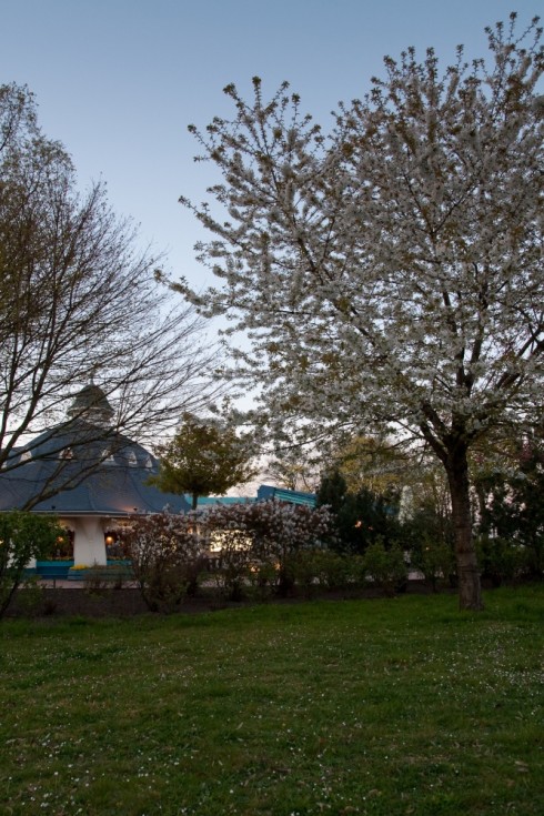 Restaurant Zur Seebrücke  in Boltenhagen, Foto 3