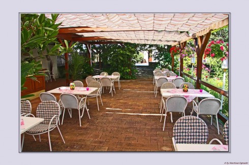 Landgasthaus Zur Traube in Bockenheim an der Weinstraße, Foto 2