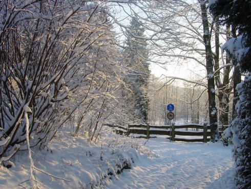 Krillemühle in Blankenstein, Foto 2