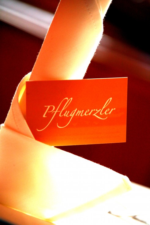 Pflugmerzler in Ulm, Foto 1