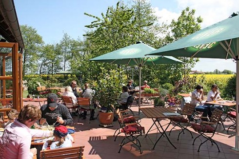 Pusteblume in Wangerland, Foto 3