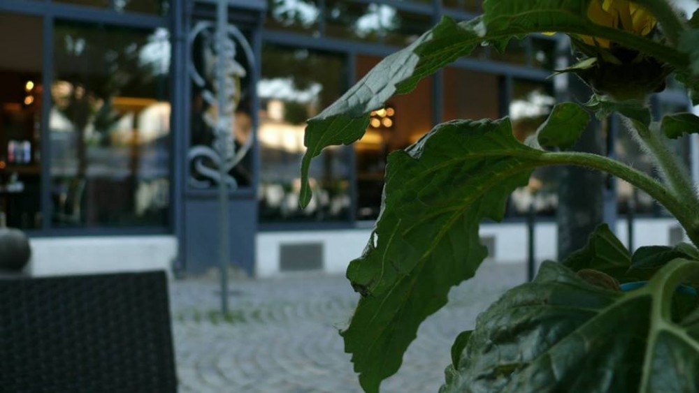 Nova Lounge Bar-Restaurant in Wiesbaden, Foto 1