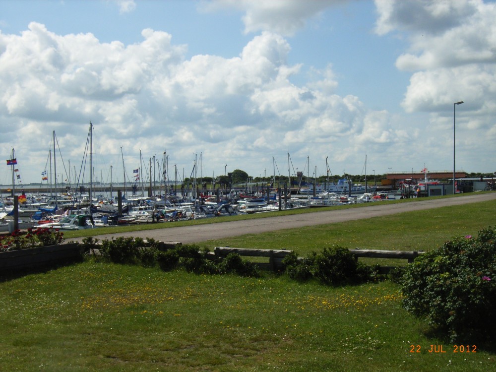 Ostfriesische Teestube am Hafen in Langeoog, Foto 3