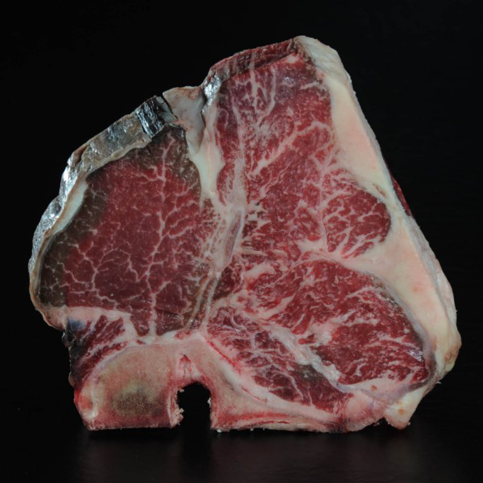 Toro Grosso GmbH in Magdeburg, Foto 3