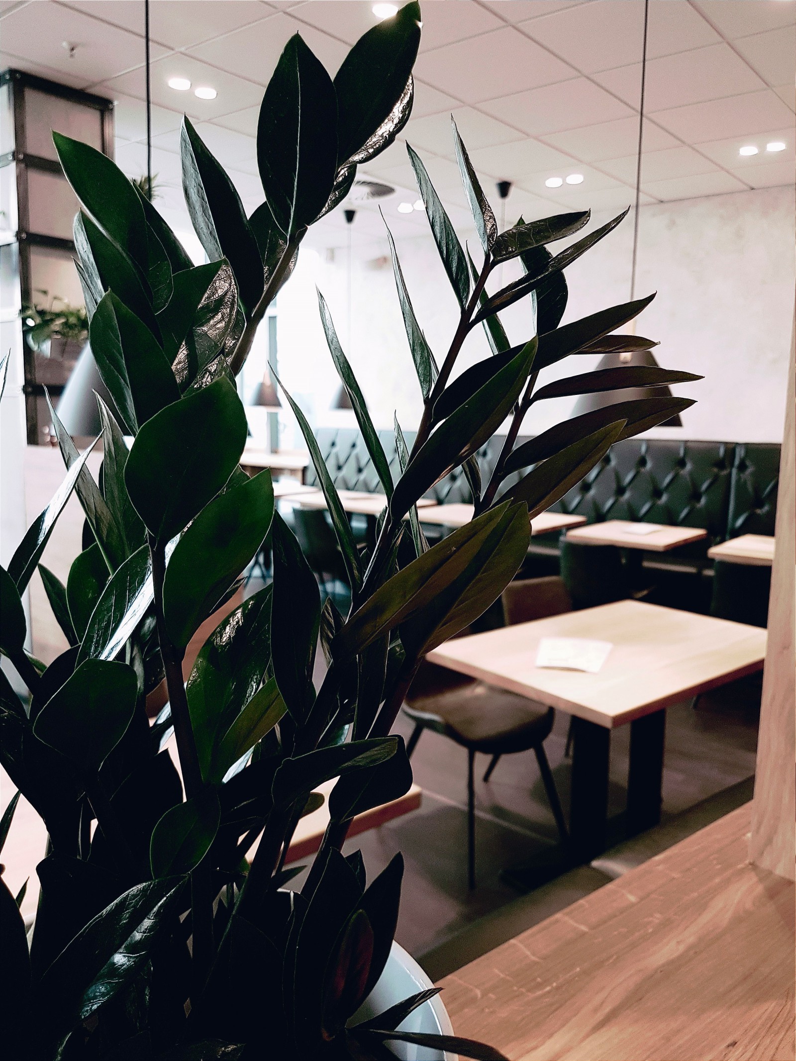 xfresh - coffee & foodlounge in Dresden, Foto 1