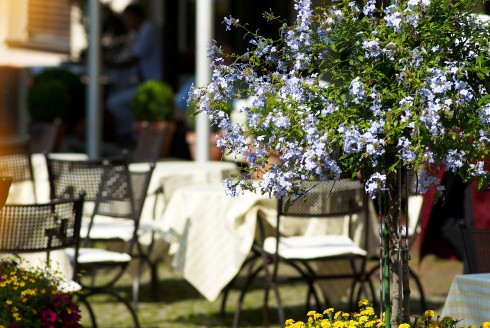 Hotel Sonne in Kirchzarten, Foto 3