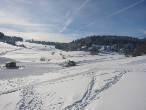 Hotel Gasthof Schwarzwaldtanne in Schönwald, Foto 3
