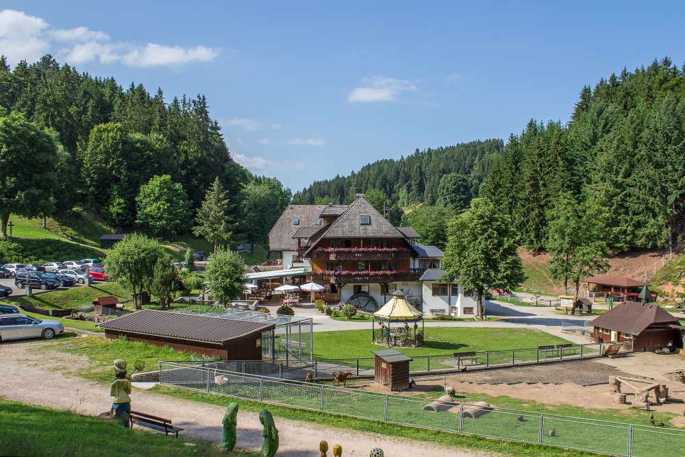 Schwarzwaldgasthof Tannenmühle in Grafenhausen, Foto 1