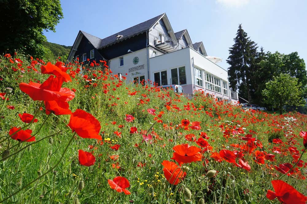 Waldhotel Schinkenwirt in Olsberg, Foto 3