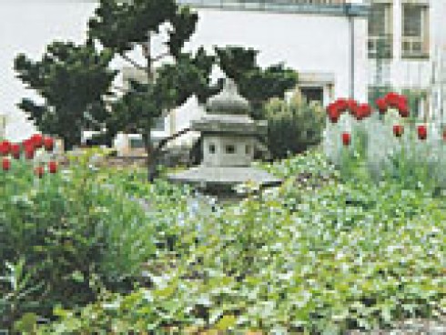 Restaurant Sukiyaki in Kaiserslautern, Foto 1