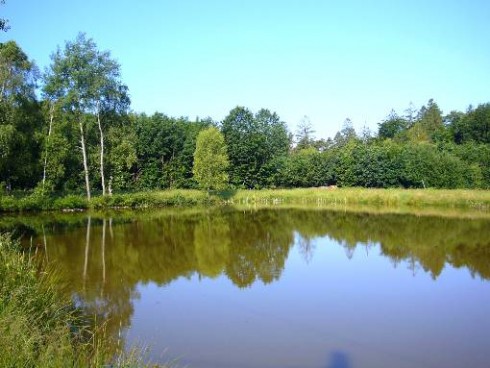 Gasthaus Pension zum Brandweiher in Amorbach, Foto 1