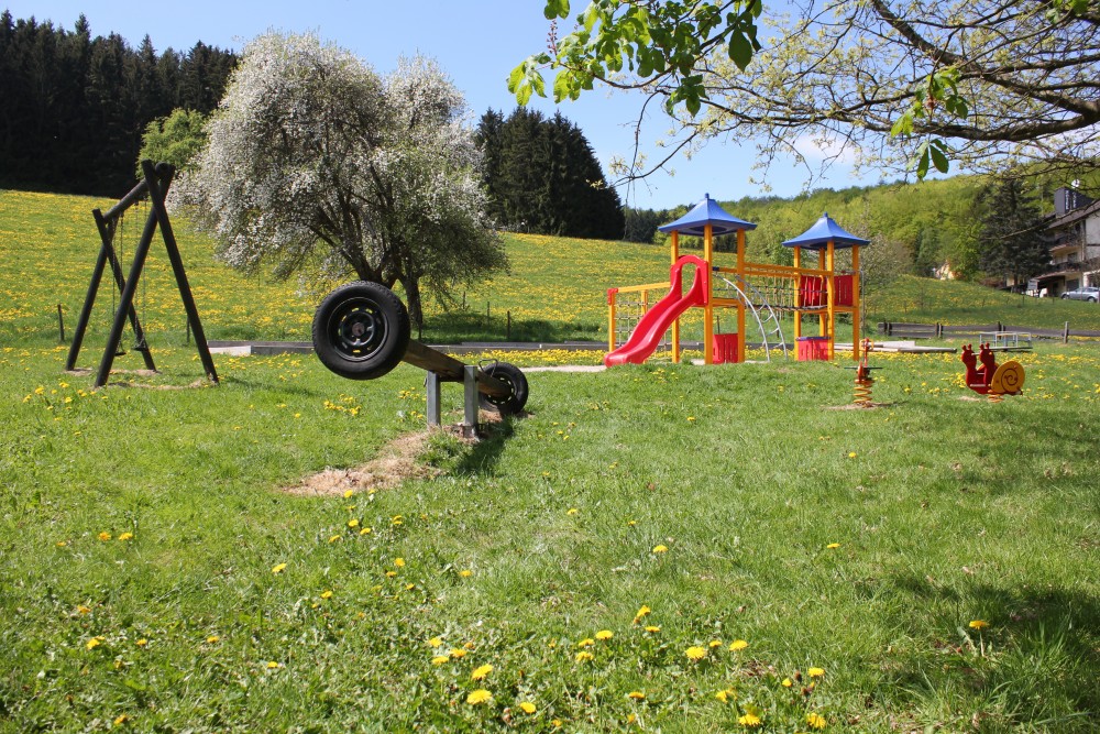 Ringhotel Siegfriedbrunnen in Grasellenbach, Foto 3