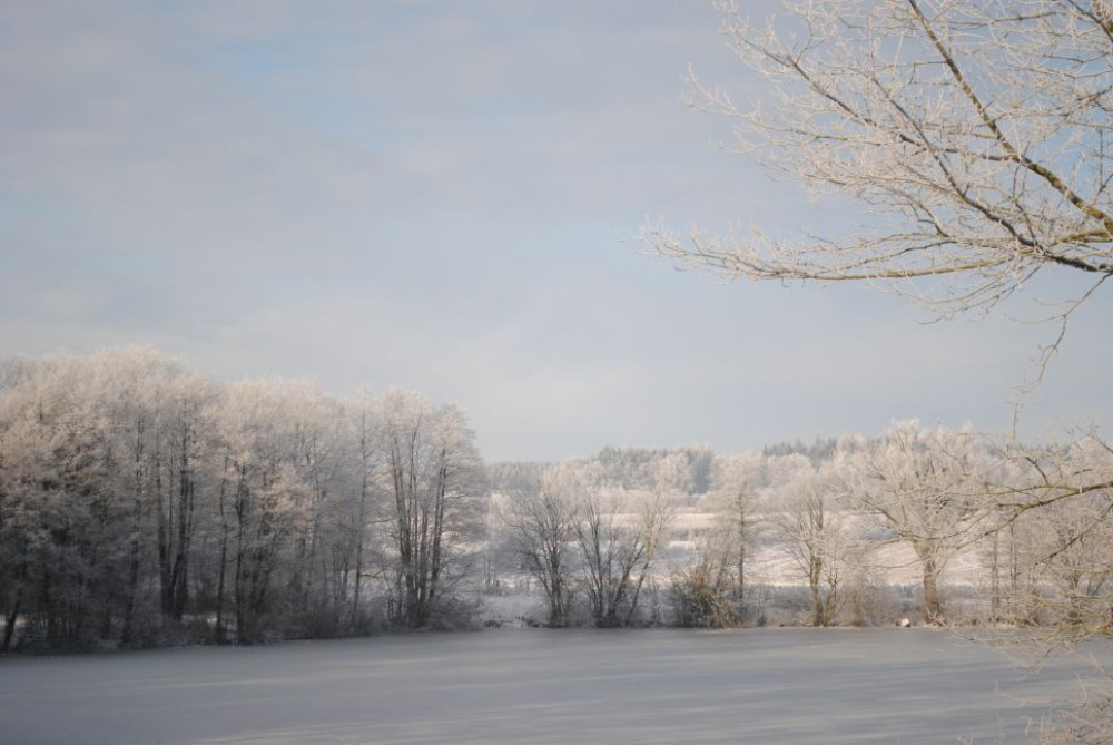 Landhotel Seelust in Hennstedt, Foto 3