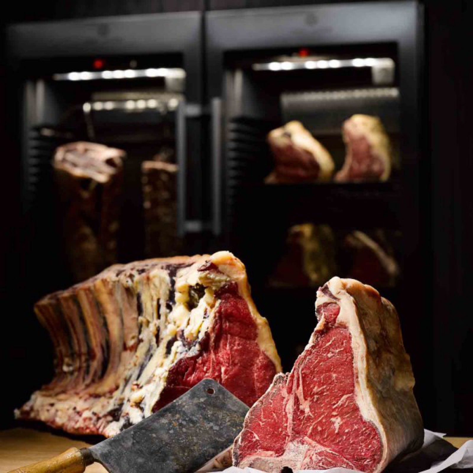 Toro Grosso GmbH in Magdeburg, Foto 1