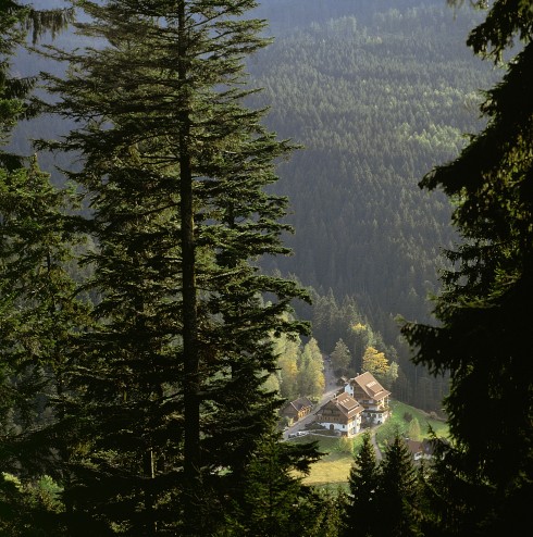 Forsthaus Auerhahn in Baiersbronn, Foto 1