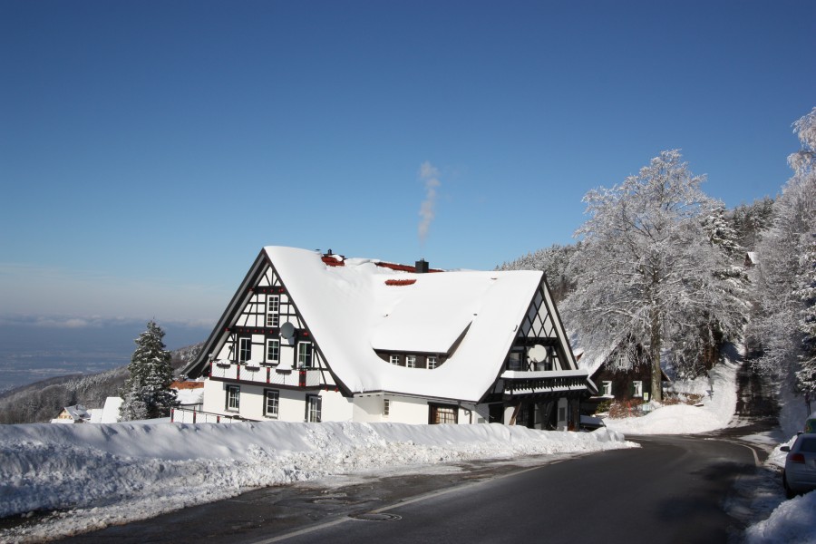 Grüner Baum - Brandmatt in Sasbachwalden, Foto 2