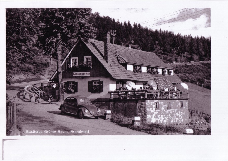 Grüner Baum - Brandmatt in Sasbachwalden, Foto 1