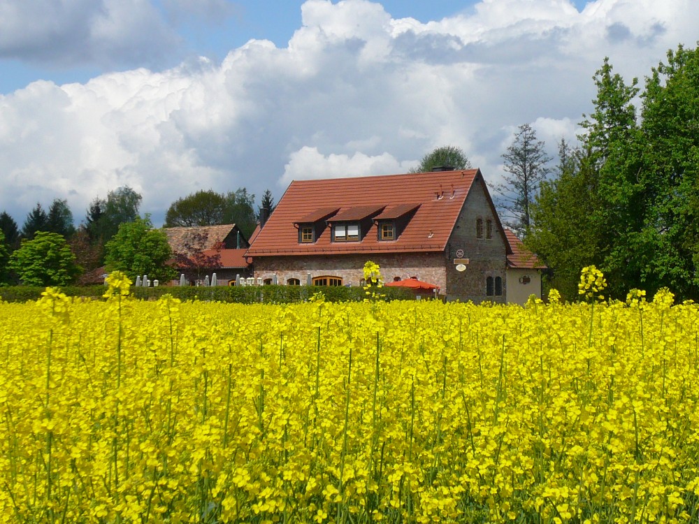 Gasthaus Obermühle in Offenbach, Foto 3