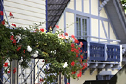 Hotel Waldblick in Schenkenzell, Foto 2