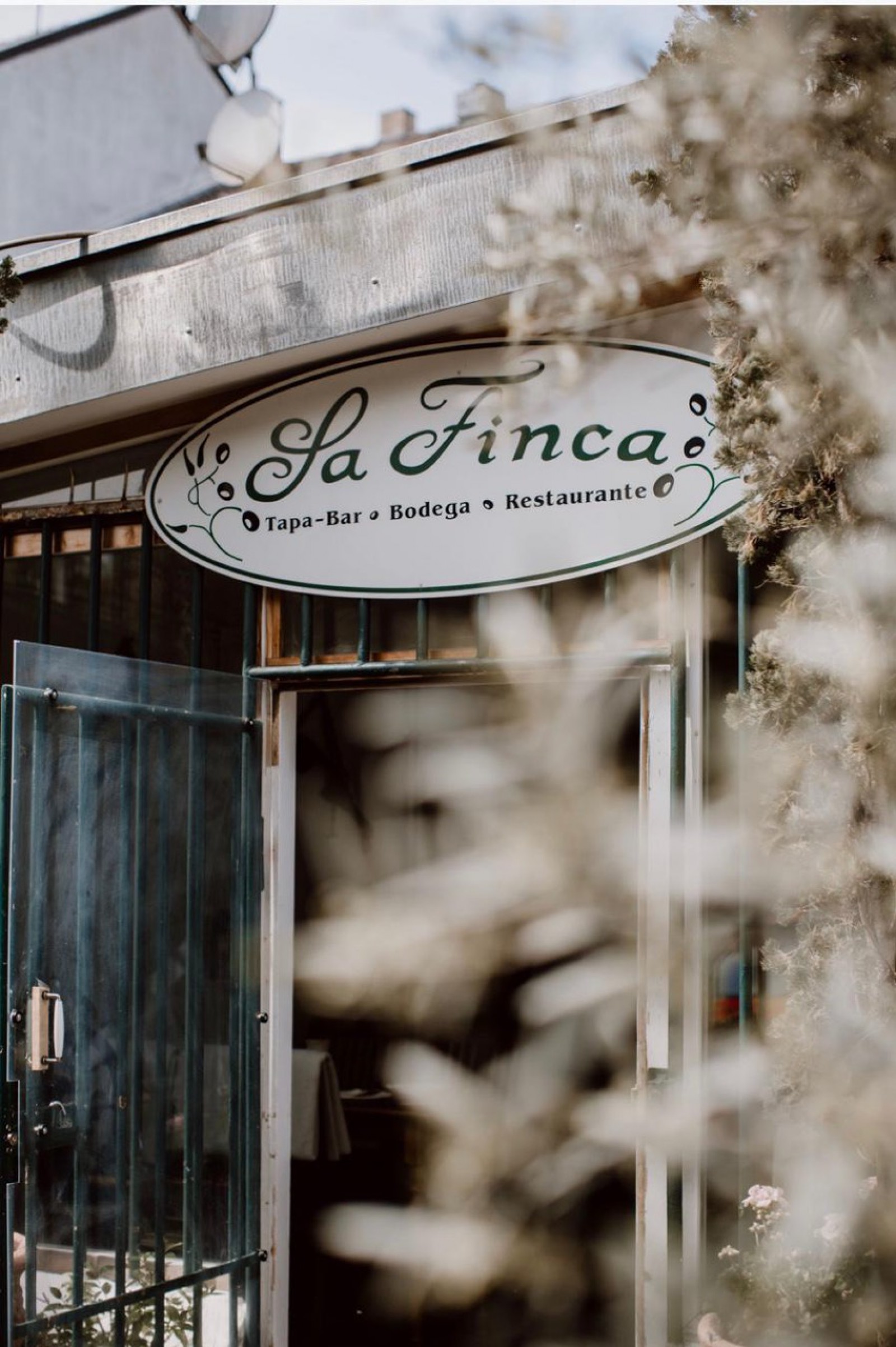 Sa Finca in Bonn, Foto 3