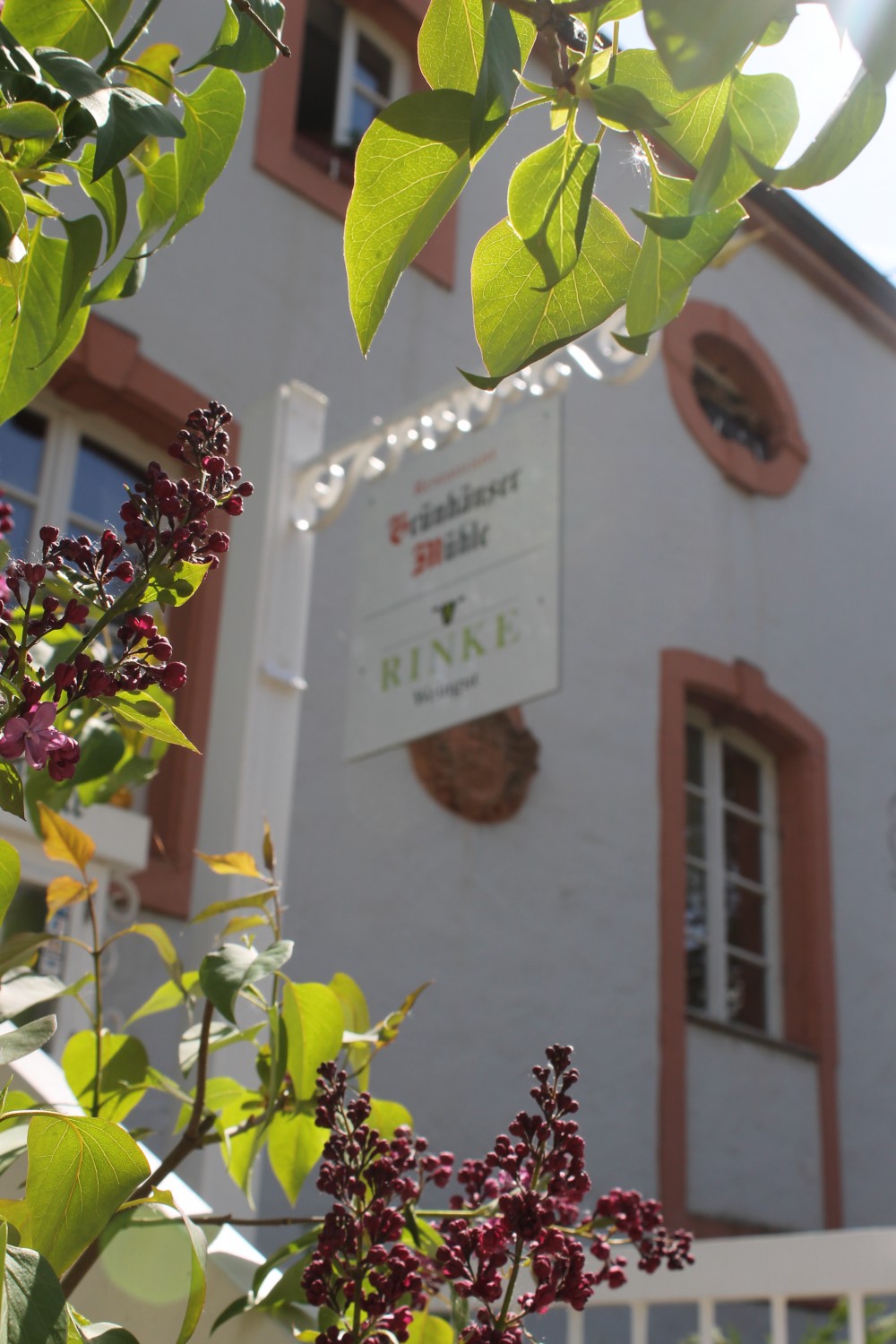 Grünhäuser Mühle in Mertesdorf, Foto 3
