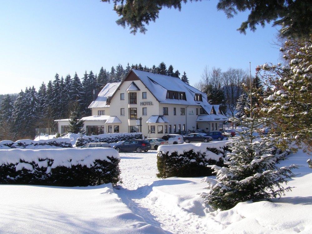 Hotel Waldesruh in Lengefeld, Foto 3