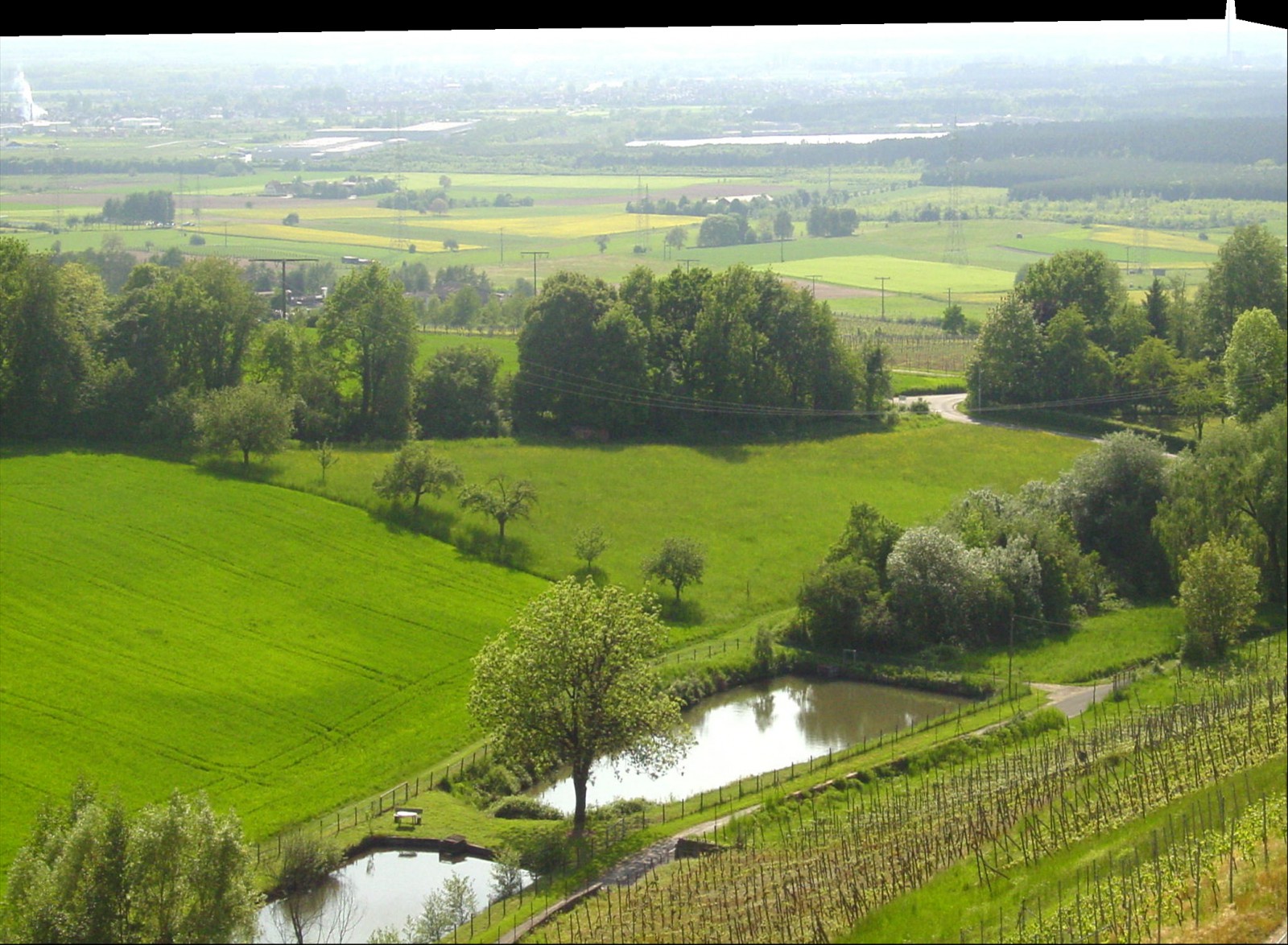 Panorama Hotel & Restaurant Schloßberg in Alzenau in Unterfranken, Foto 1