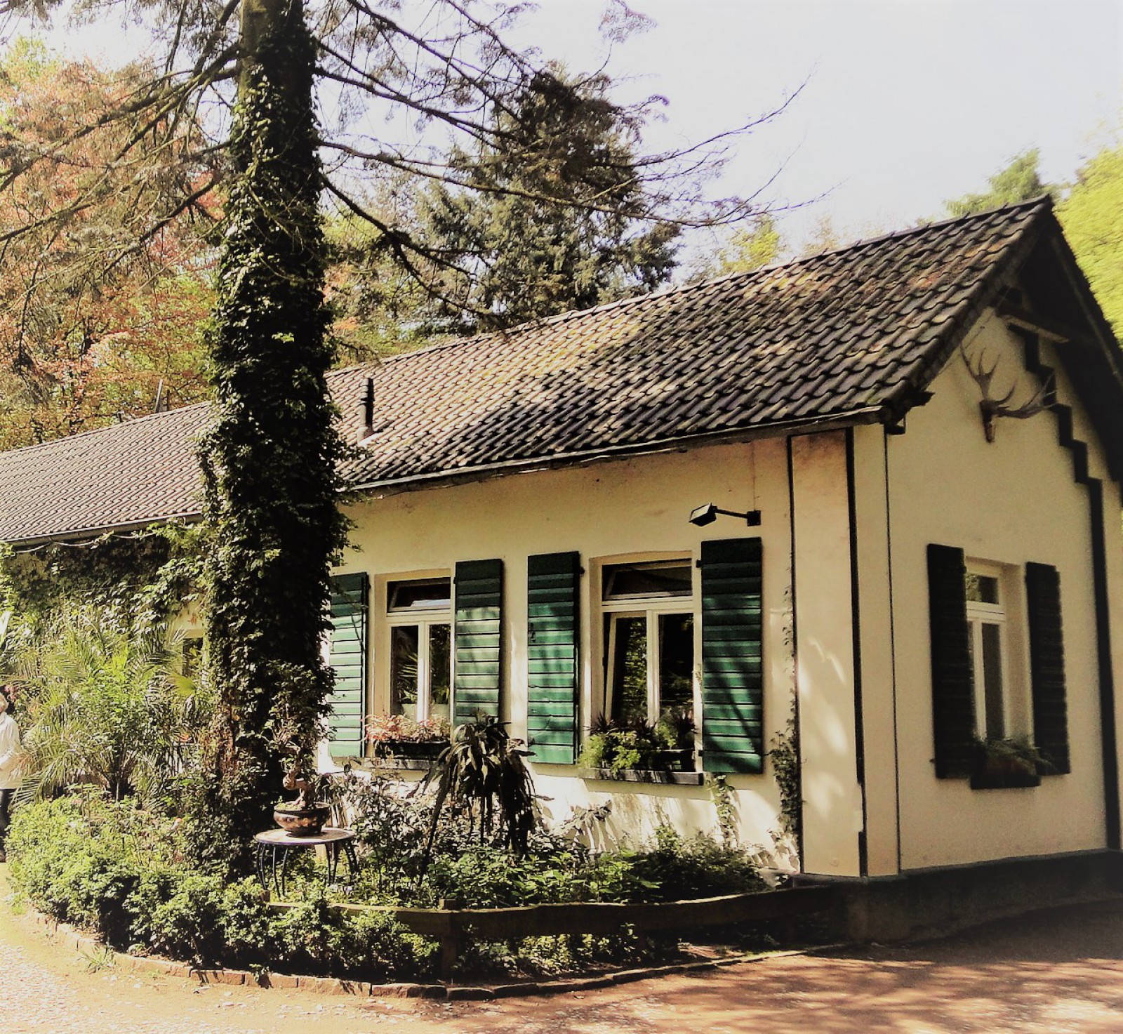 Waldgasthaus Tannenbusch in Dormagen, Foto 1