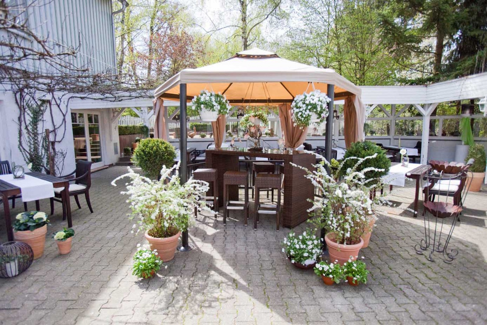 Alte Bergmühle in Dreieich, Foto 2