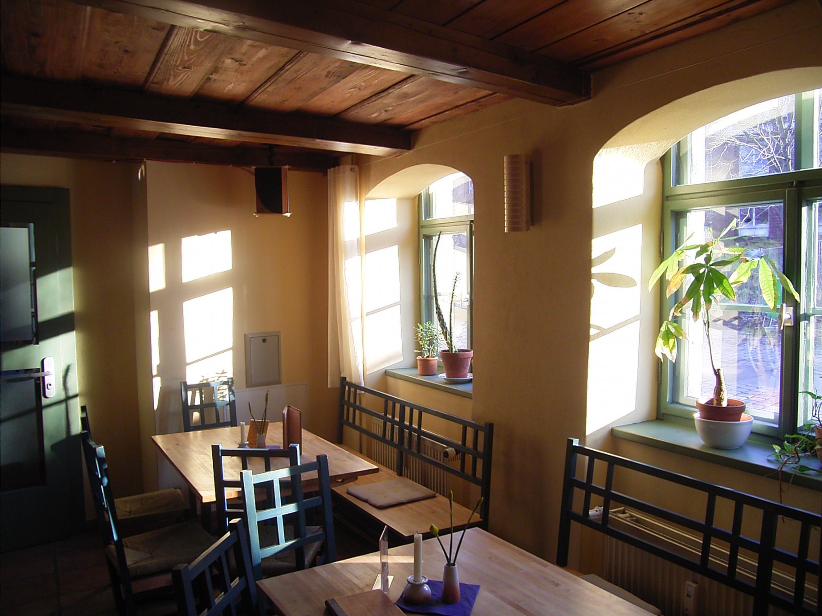 BrennNessel in Dresden, Foto 2