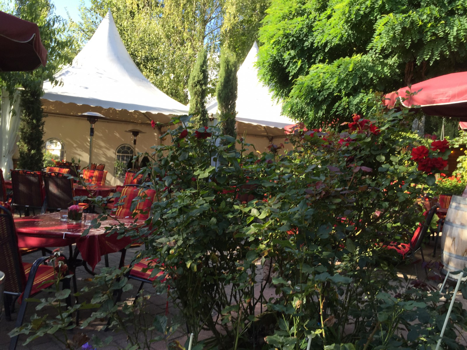 Weingut Anselmann Brunnenterrasse in Edesheim, Foto 3