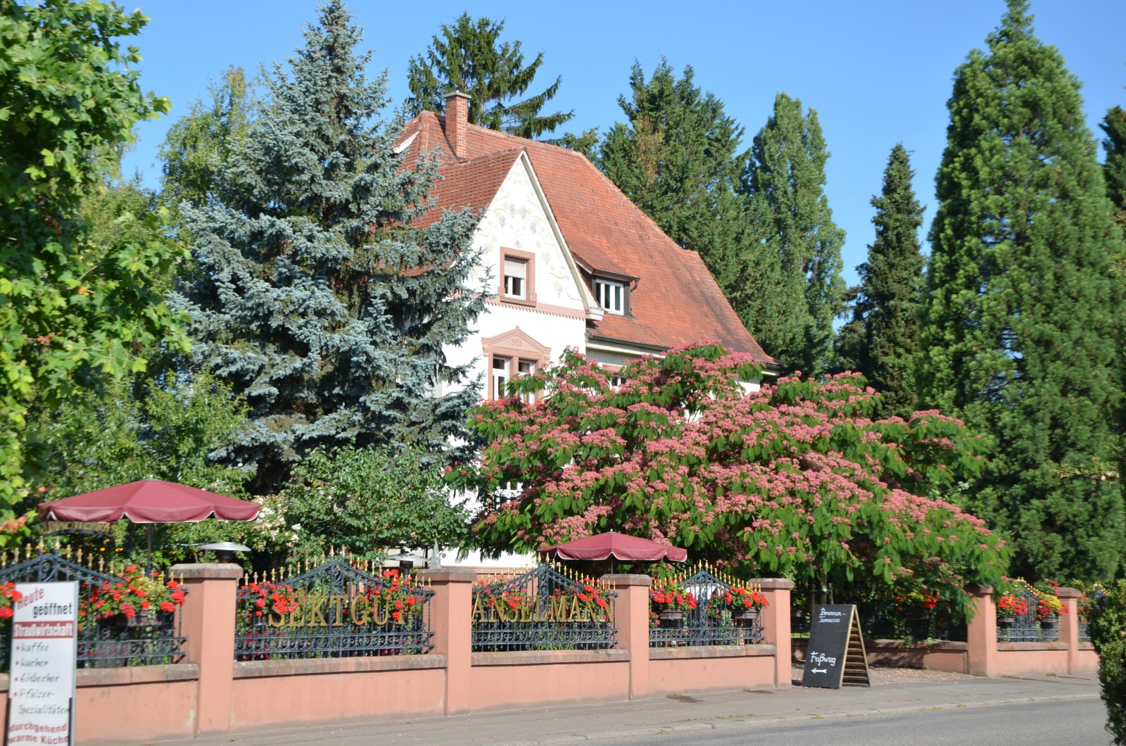 Weingut Anselmann Brunnenterrasse in Edesheim, Foto 1