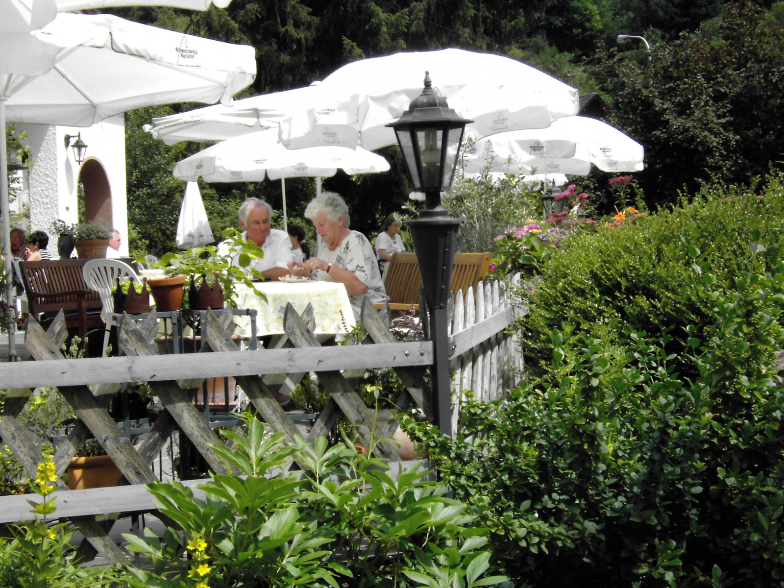 Gasthaus Birkenthaler Hof in Eußerthal, Foto 1
