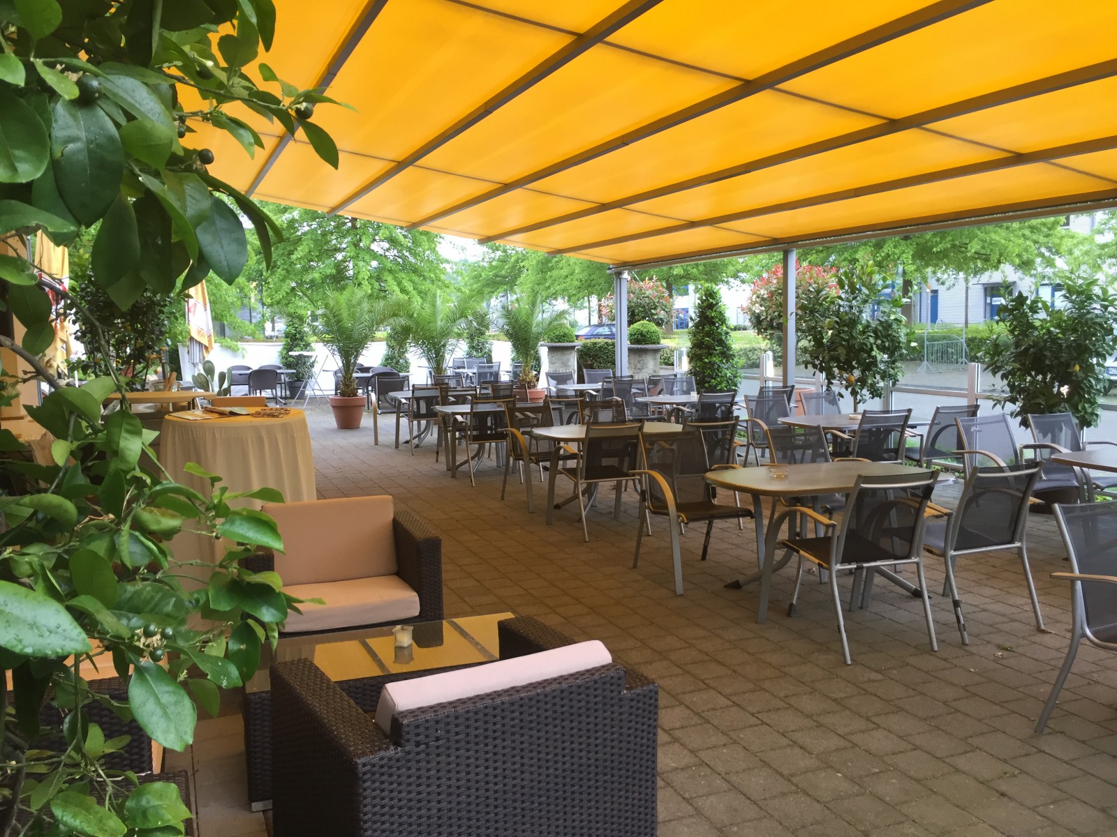 Artusi in Münster, Foto 1