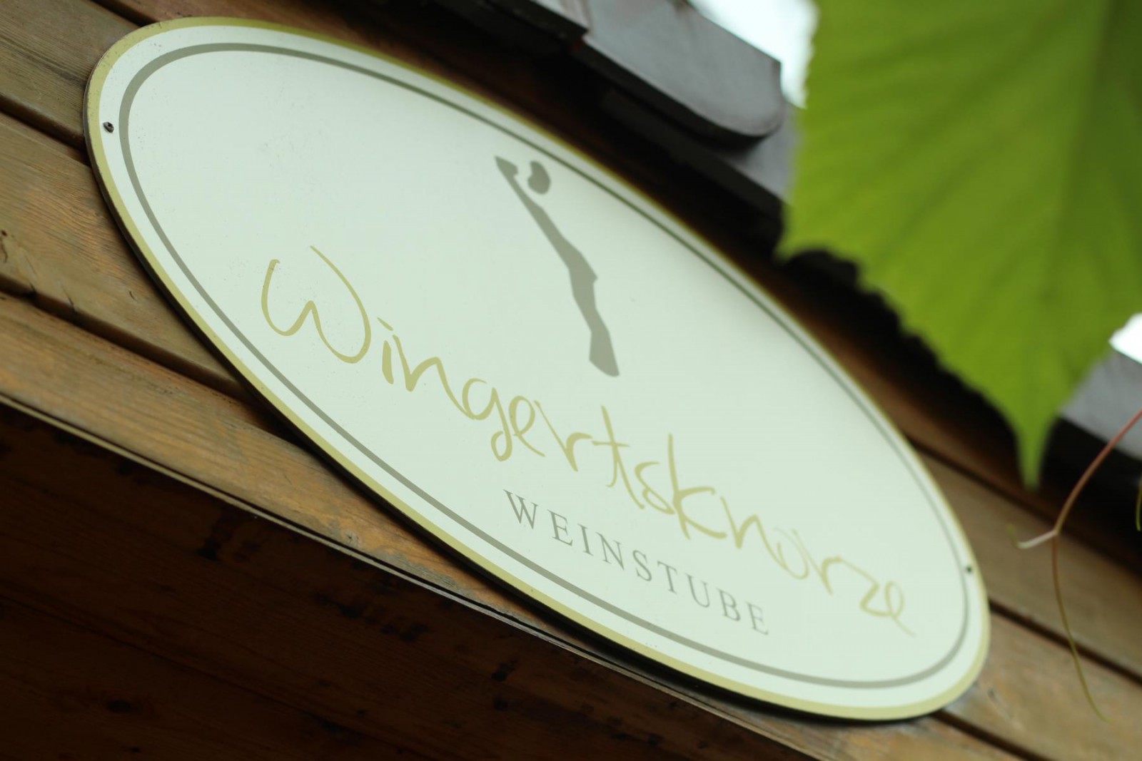 Weinstube Wingertsknorze in Oestrich-Winkel, Foto 2