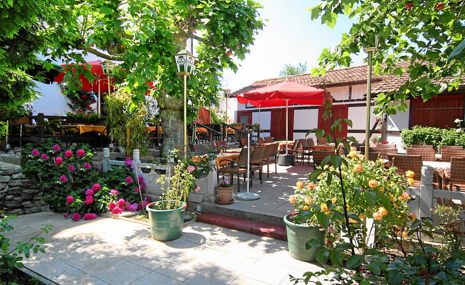 Chinarestaurant Rosengarten in Rheinfelden, Foto 1