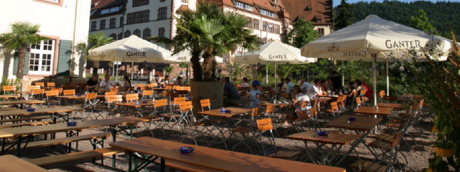 Gasthaus Zum Schuetzen in Freiburg